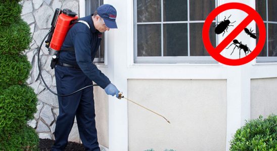 Üsküdar Kene İlaçlama böcek ilaçlama ve haşere kontrolü — ilaclama-tr.com